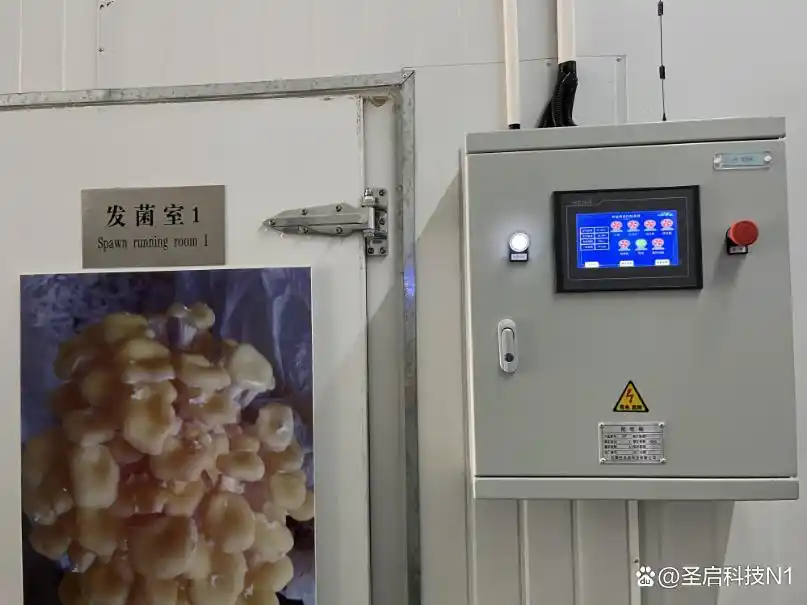 智慧菌菇环境测控系统"走进"东营市食用菌栽培重点实验室