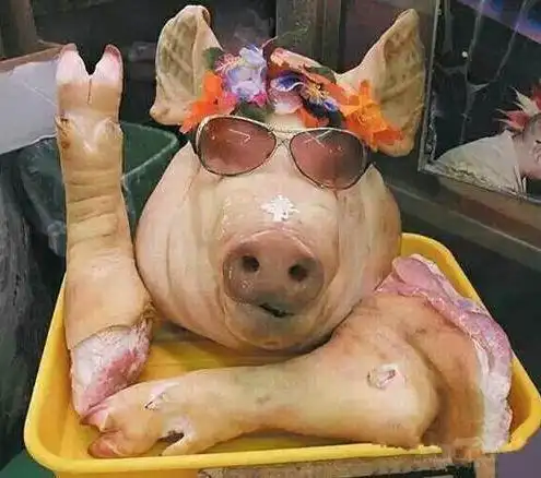 搞笑图片幽默段子笑话:哈哈,天花板上还能长出蘑菇来,不错哦