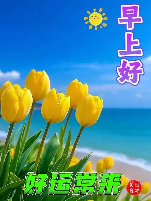 今日最新版本早安早上好精选图片,新的一天,愿你快乐美好!