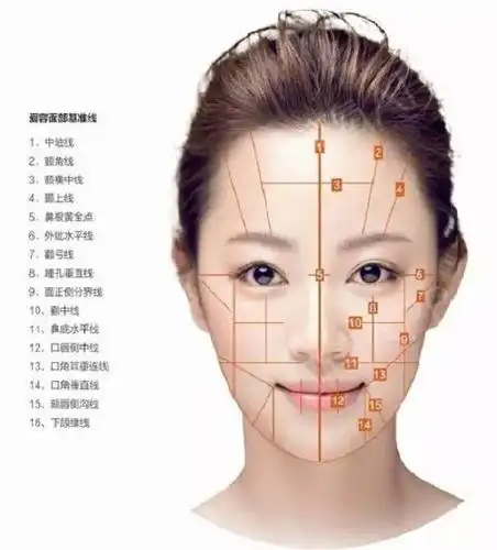 doctype html>  html>  head>  meta charset="utf-8" />  lin