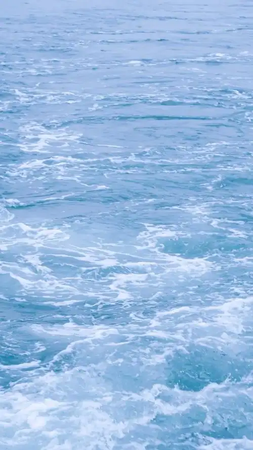 铃声壁纸鸭海边的淡蓝色壁纸清新简洁风