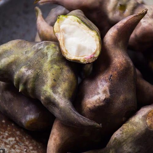 菱角新鲜5斤当季水果整箱现发生吃时令蔬菜菱角