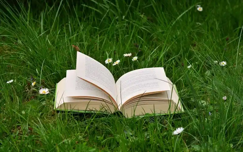 文艺有意境的唯美图片桌面壁纸