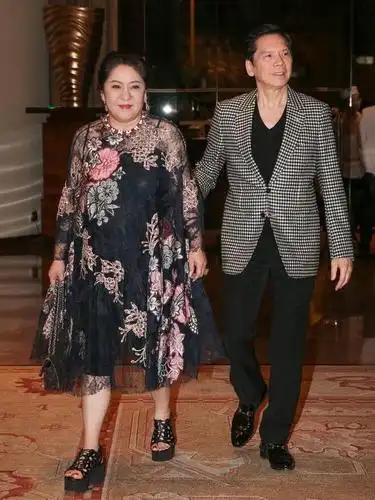 向华强有钱有地位,为何专宠陈岚?看了照片你就明白了