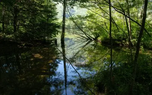 壁纸,日本风光,日式,2560x1600尺寸壁纸-回车桌面