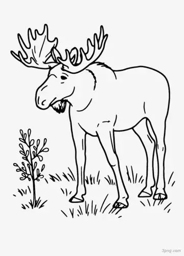 羚羊线稿图png素材透明免抠图片动植人物