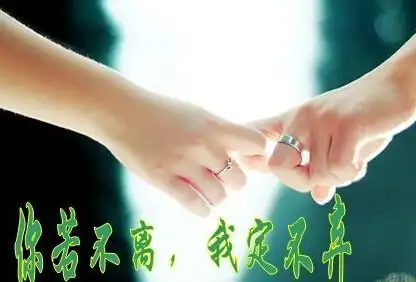 你若不离我就不弃