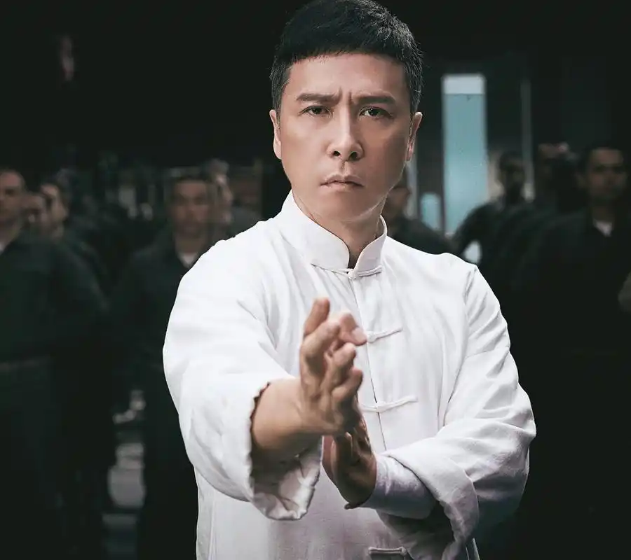 被李连杰成龙压制,甄子丹厚积薄发