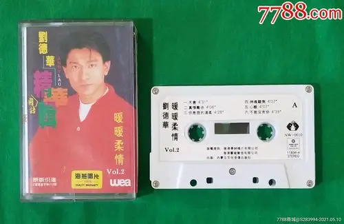 刘德华一暖暖柔情艺能动音