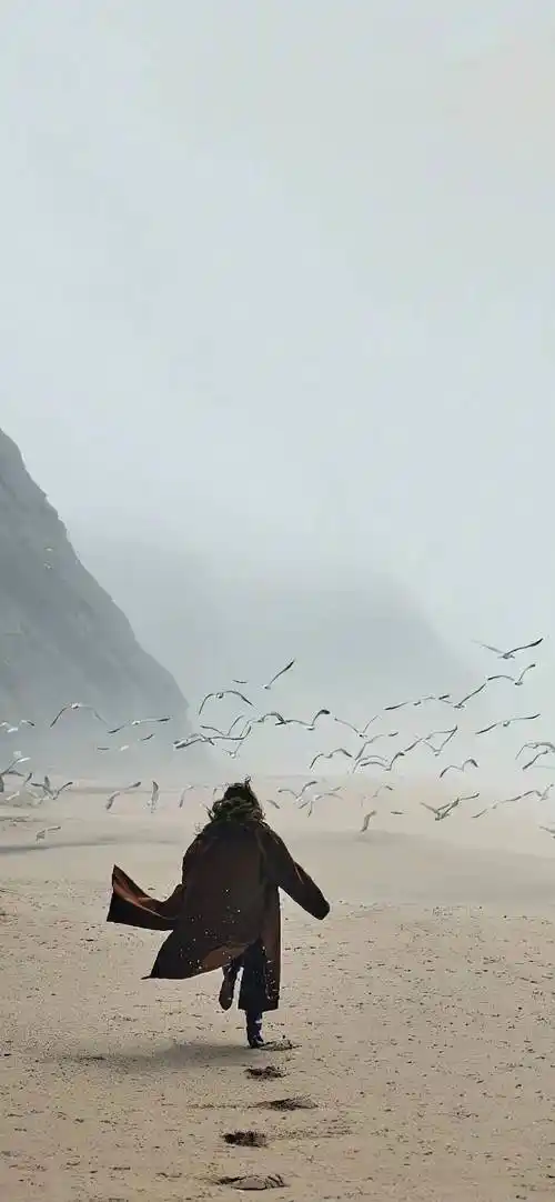 壁纸| 治愈系壁纸ins高级质感高清全面屏