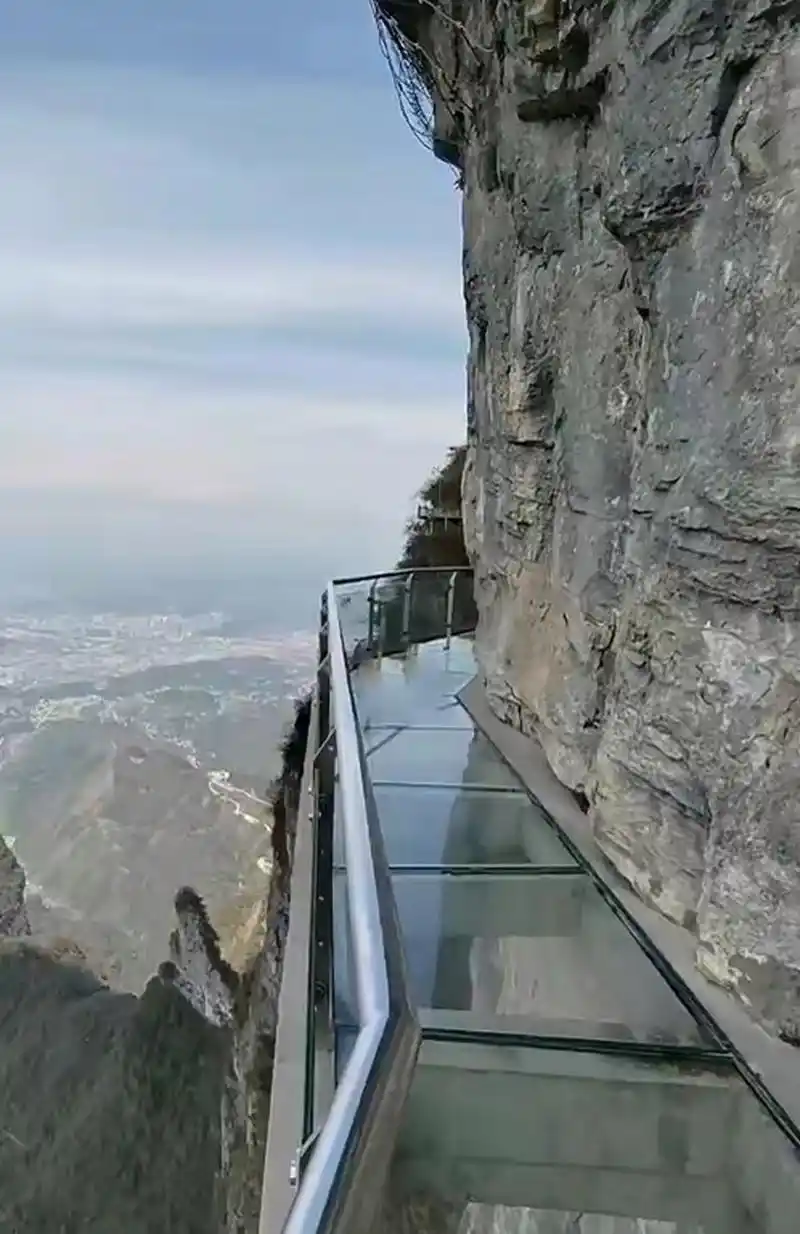 张家界玻璃栈道翻越栏杆跳崖事件,山脚下找到三具遗体,查下四人联系