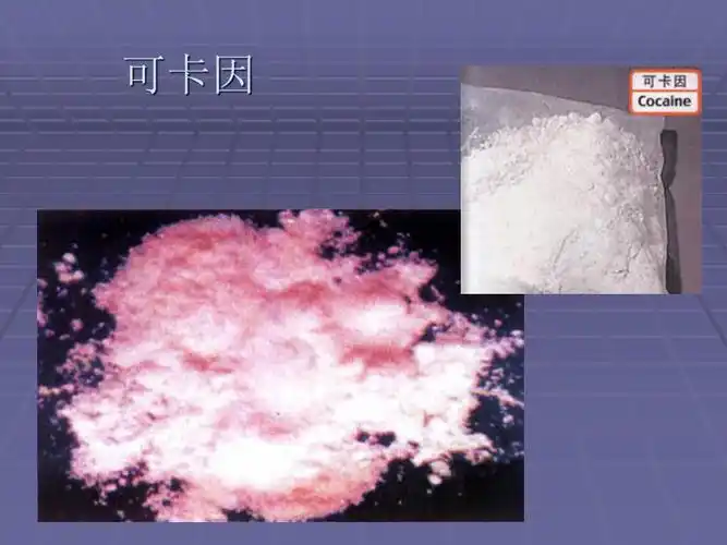 教育设计一条宣传标语附加题back二乙酰吗啡海洛因的化学名称是什么?