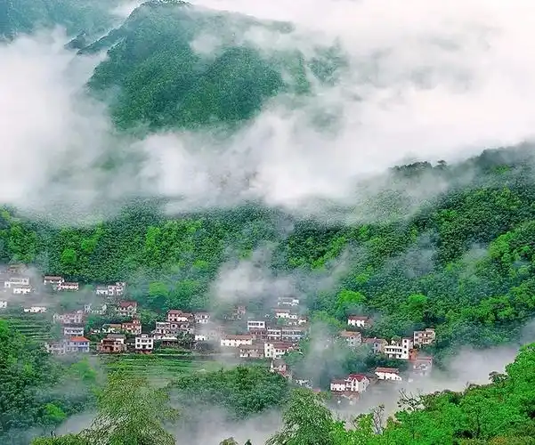 中国的秋名山,卧虎藏龙的竹林深处,云端之上!