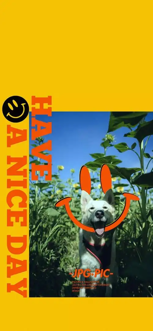 抖音壁纸潮图看见过世间的丑恶但仍付出善意