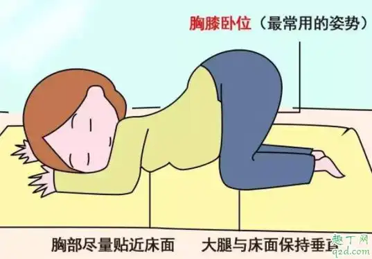 怎么看胎位是不是横位胎儿横位怎么矫正胎位