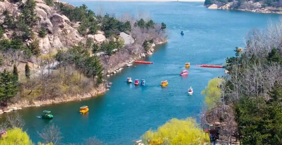 赏花进行时来青岛大珠山踏春游园遇见美好
