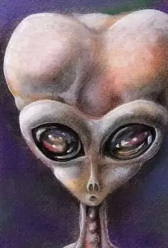 外星人的脑袋为何那么大? 科学发现三种可能