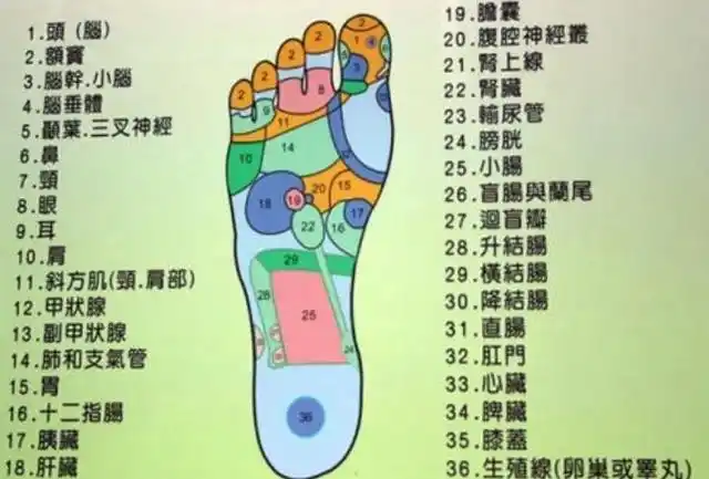 肝不好,脚先知,脚底出现4个现象,多半说明肝有问题