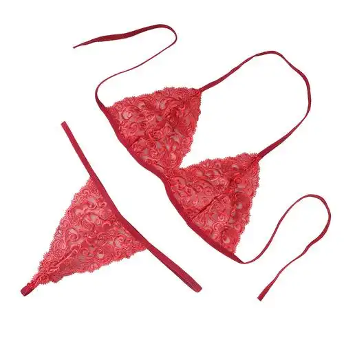 跨境专供 厂家高档性感情趣内衣三点式套装 刺绣文胸性感女丁字裤