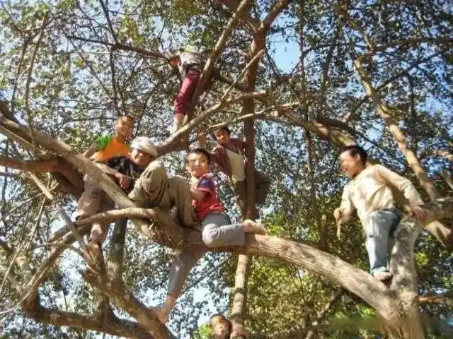 回忆农村人美好童年生活,九零后很难体会到,满满的都是回忆!