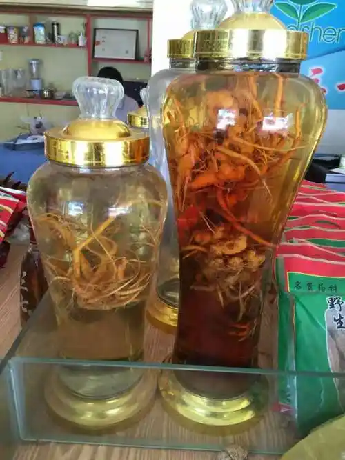 正宗三七药酒哪里买?