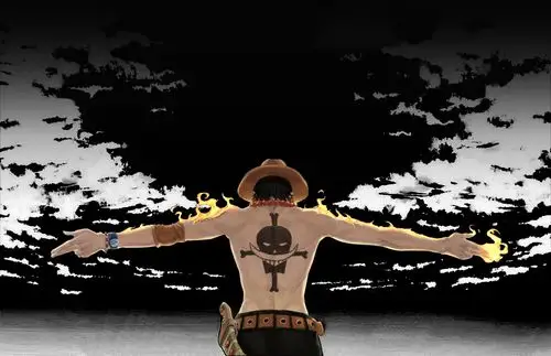 很明显艾斯也拥有霸王色霸气