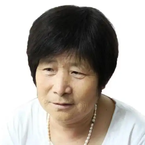 假发老年人短发60岁老人整顶发发实用送给奶奶整顶假发