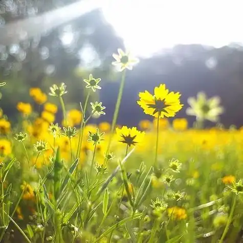给人一种阳光的头像 高清好看充满阳光朝气的微信头像图片_微信头像