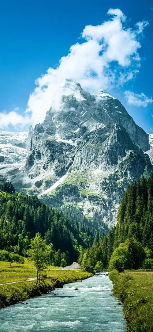 壁纸 风景 690_1494 竖版 竖屏 手机