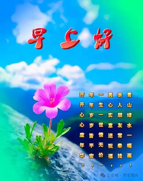 2024年6月12日早安图片,早安!愿你的健康如同早晨的清风,扫清一切疲惫