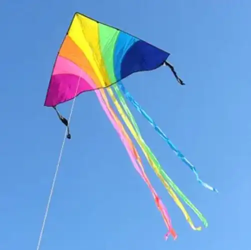 隐形杀手!小心!|风筝|放风筝|树杈|高压线_网易订阅