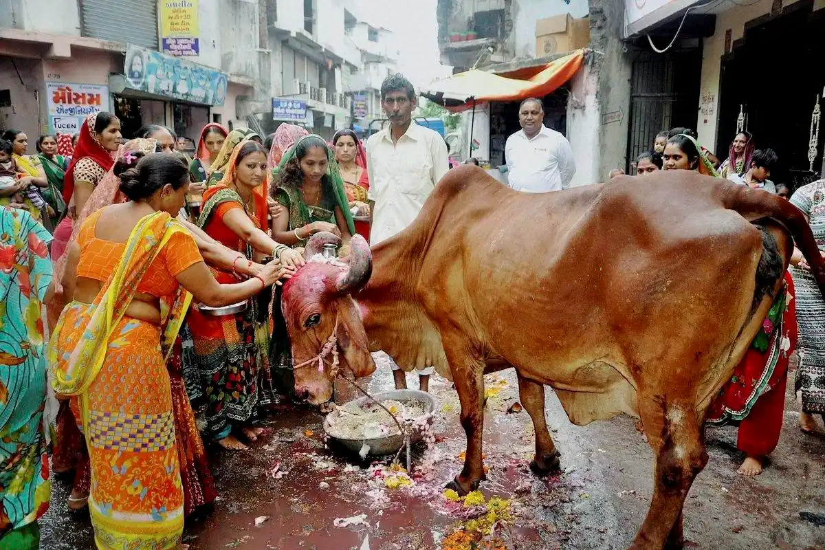 印度作为"亚洲大国",为何申办奥运会数次被拒?网友:牛太多