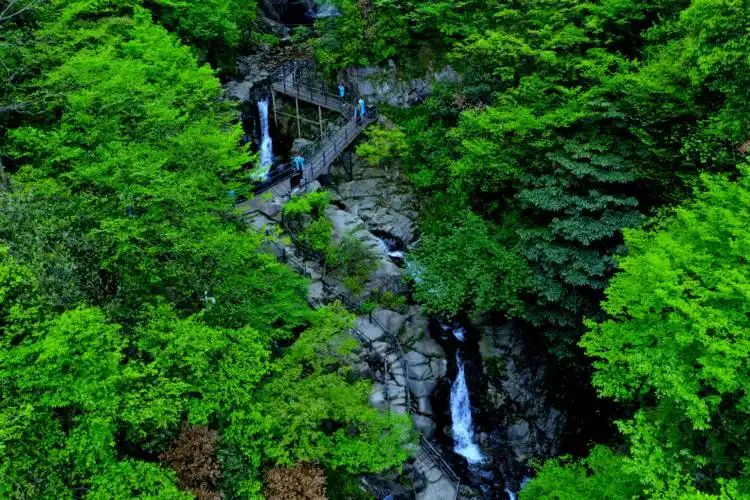 西九华山旅游风景区森林覆盖率达95%以上,并有多处原始森林;整个景区