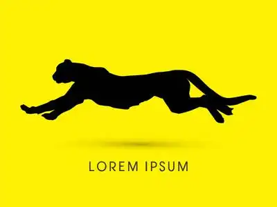 剪影猎豹 豹照片