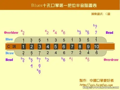 威臣开关 一开五孔接线图