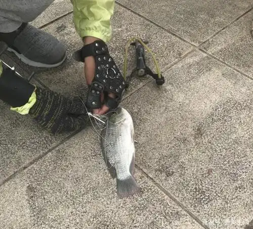 20岁小伙用弹弓射鱼,只要被他看到,一个都逃不掉,真的很厉害