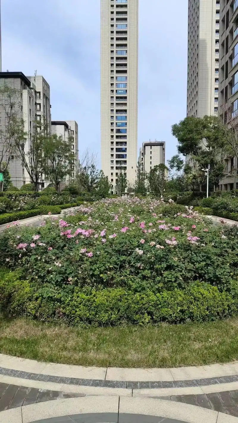 8   住曲江.曲江二期 电竞馆旁  天地源洋房社区 - 抖音