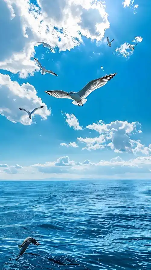 《七律·赠碧海蓝天诗友》 碧海扬帆韵自华,蓝天织锦笔生花