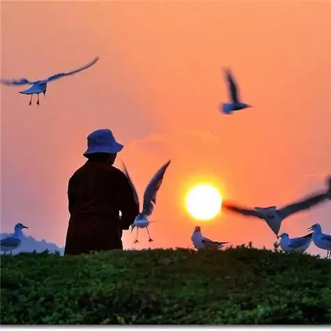 老年人稳重的头像 头像图片大全 -【爱个性】