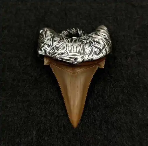 精品安格迪斯鲨鱼牙化石吊坠手工包银镶嵌