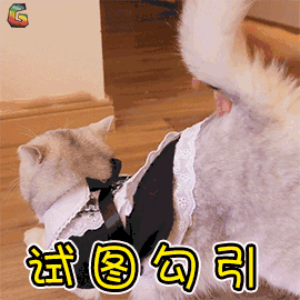 试图清醒图片_试图清醒动态图_试图清醒表情包gif动图下载_soogif