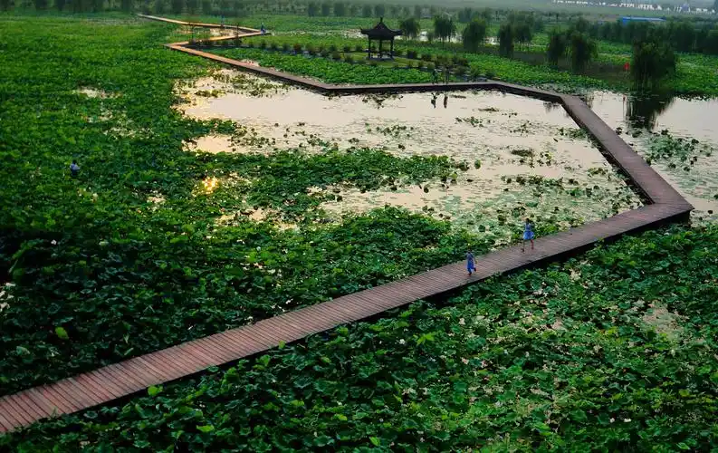 今天是世界湿地日,走进溧阳天目湖源头,长荡湖国家级湿地公园
