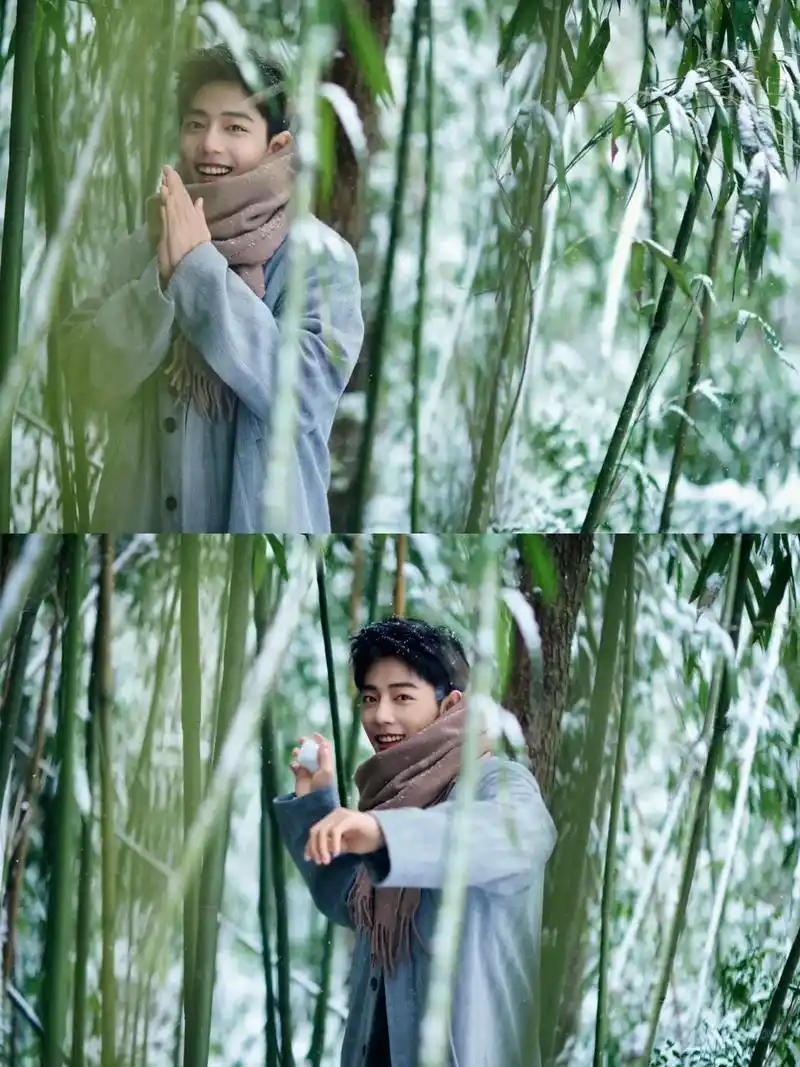 肖战 #肖战冬至竹林大片 #向全世界安利最好的肖战