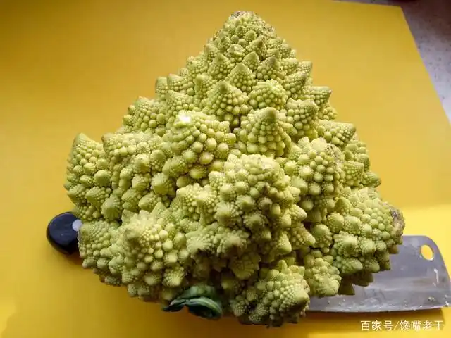 6种长相"贼奇特"的蔬菜,关键营养美味还不贵,吃过3种算你赢