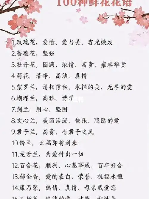 100种鲜花的花语送花就先了解它