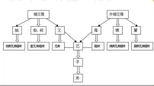 附上不可不可结婚的关系图标,这张关系网中的任何男女都是不好结婚的