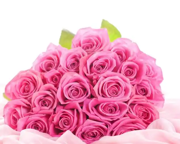 浪漫玫瑰花束壁纸