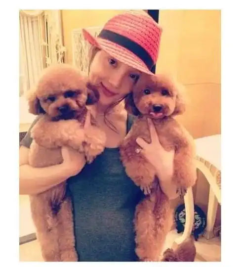 李小璐怀二胎停工半年肚子大到藏不住?贾乃亮:是时候要弟弟了!