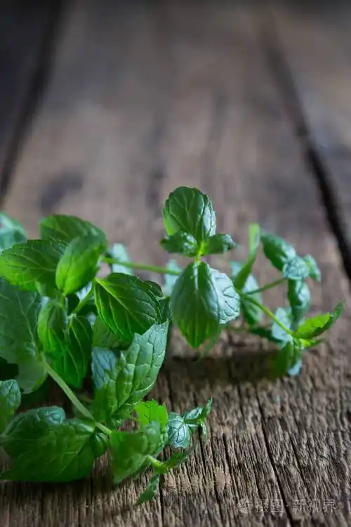 新鲜薄荷叶在桌子上