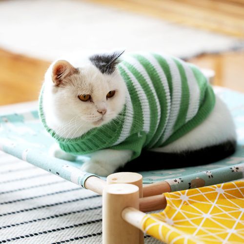 猫咪衣服可爱宠物小猫蓝猫幼猫英短无毛衣条纹秋冬装保暖高领毛衣